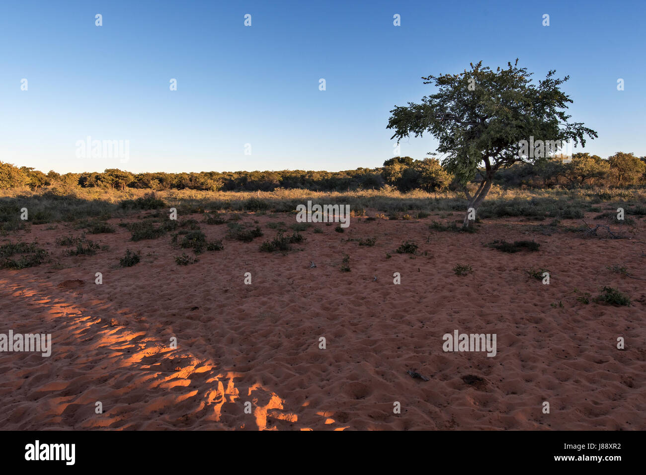 Namibia, Waterberg plateau Stockfoto