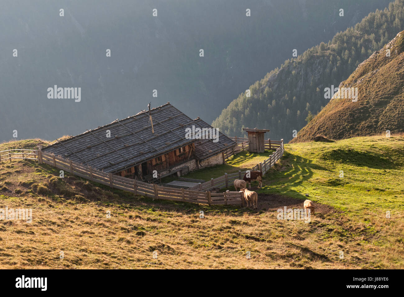 Berge, Wandern, gehen Sie wandern, Wanderung, Alm, Südtirol, Sommer, sommerlich, Stockfoto