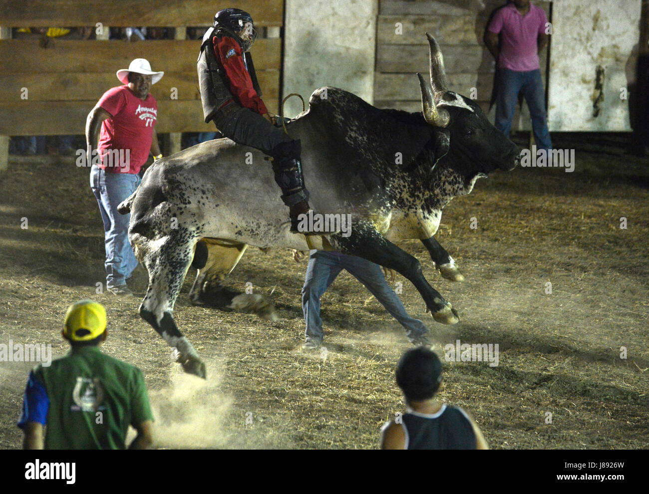 Leonardo Bonilla, 22, reitet Malacrianza, Costa Rica berühmtesten Bull während seiner letzten Fahrt im Jahr 2013 in Playa Garza. Stockfoto