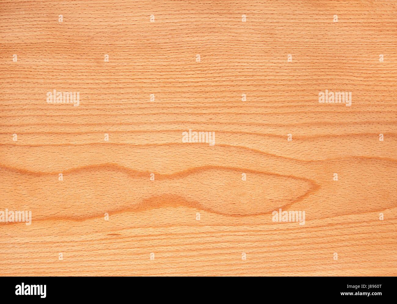 Buche Natur Holz Textur, Baum-Furnier-Hintergrund Stockfoto