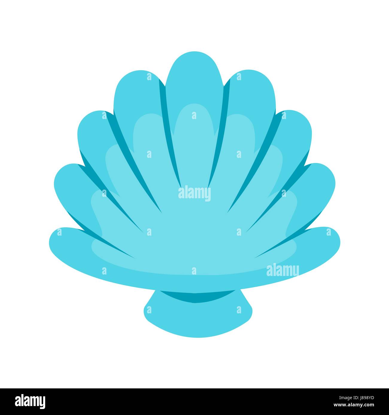 Jakobsmuschel Muschel Vektor. Stock Vektor