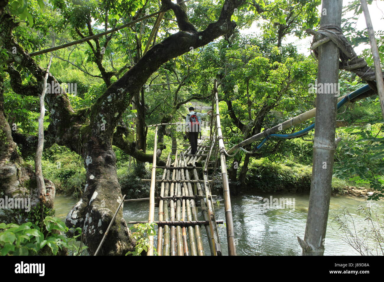Bambus-Brücke in vietnam Stockfoto