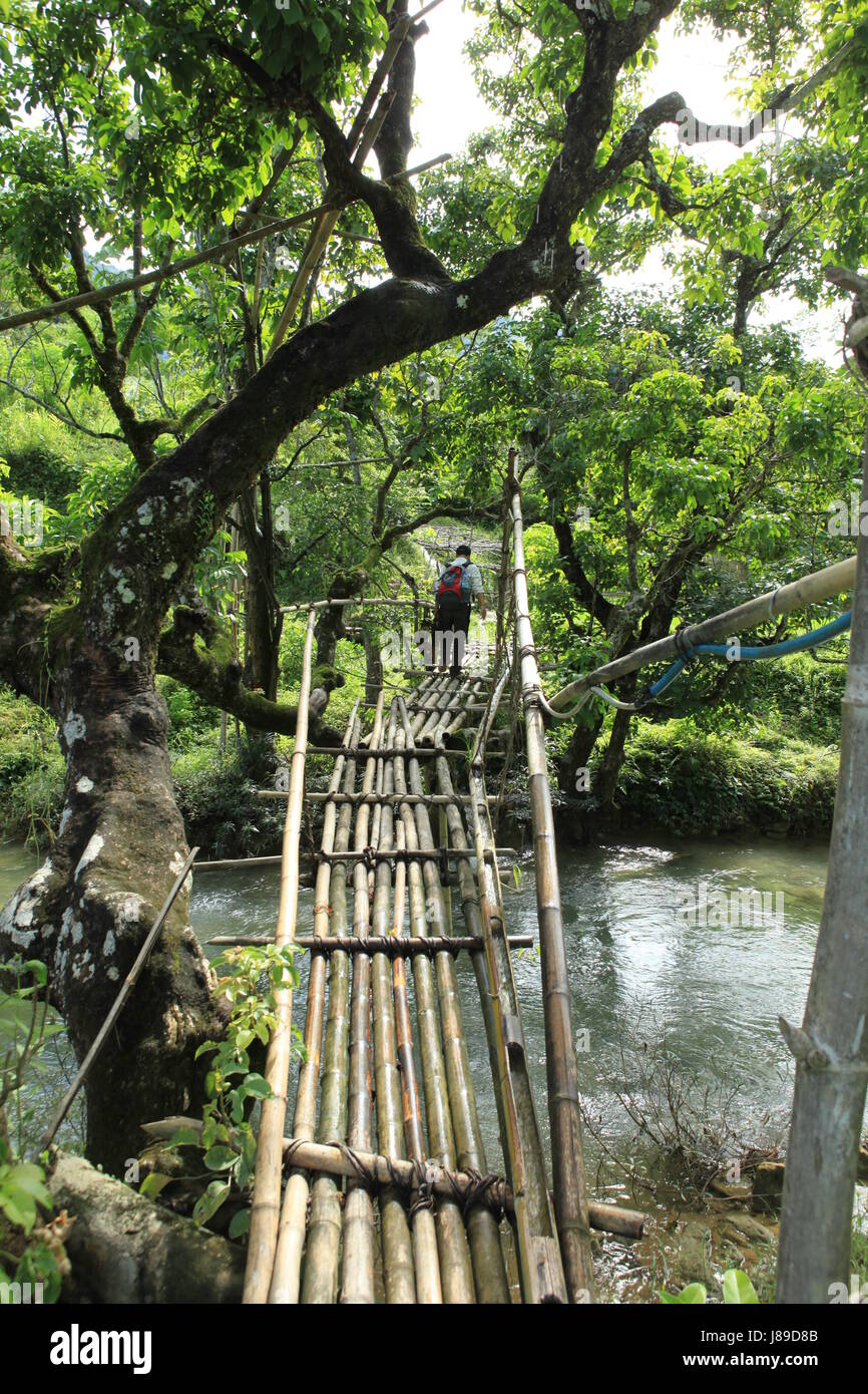 Bambus-Brücke in vietnam Stockfoto