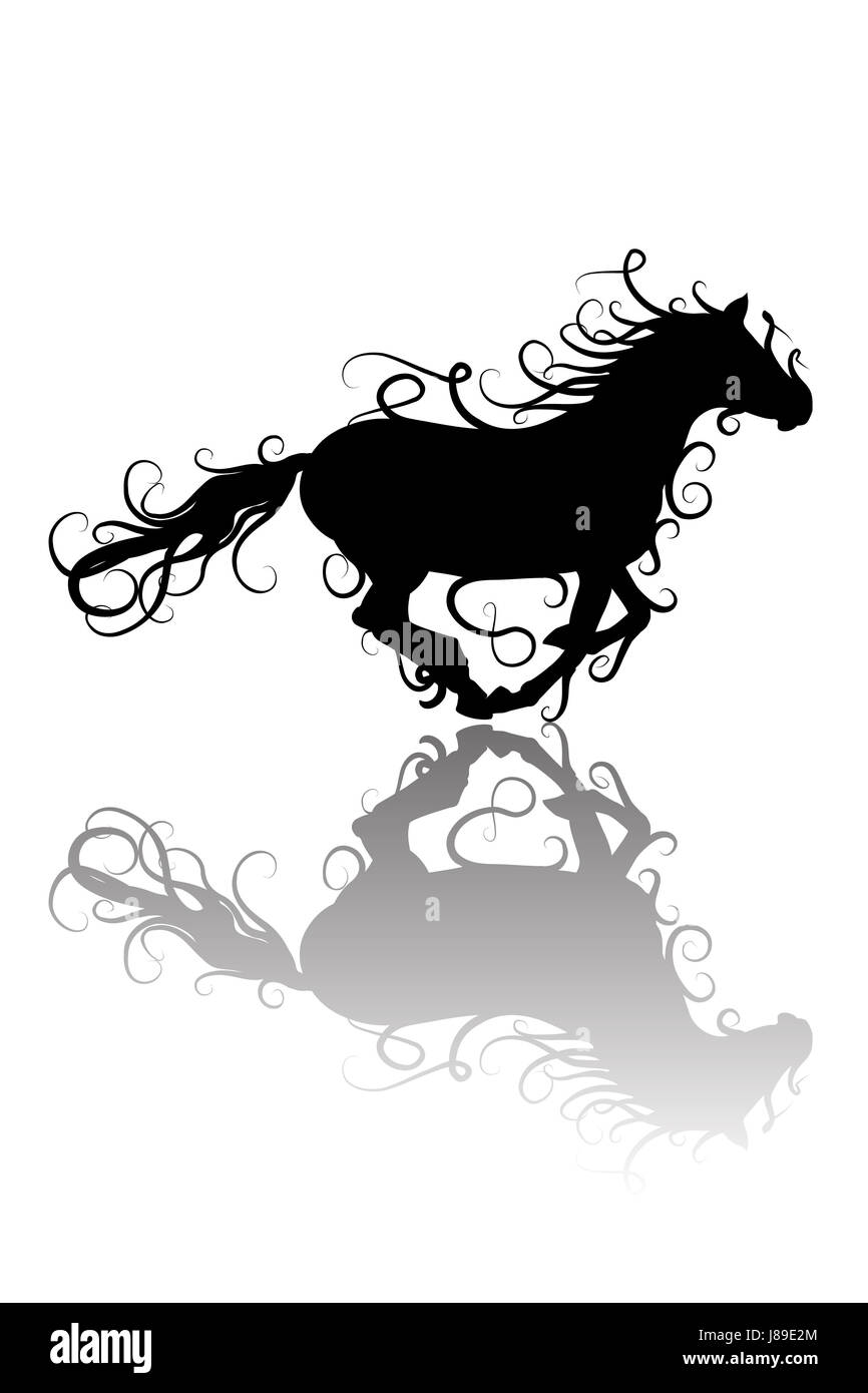 Sport, Sport, isoliert, Pferd, Haustier, Wild, Tiere, schwarz, dunkelhäutigen, tiefschwarze, Stockfoto