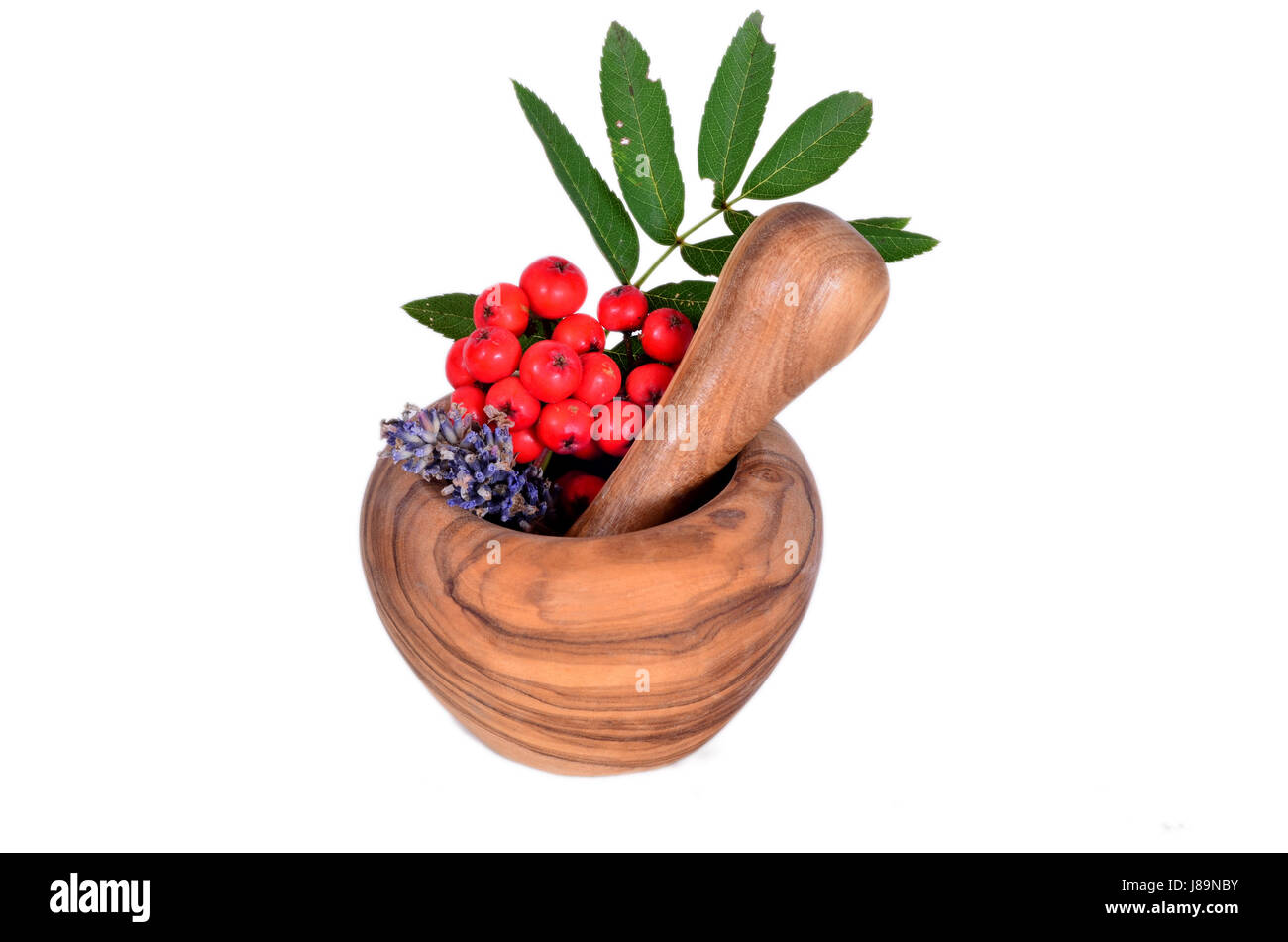 Lebensmittel, Nahrungsmittel, Garten, Pflanze, grün, Blume, Blumen, Gärten, Glanz, glänzt, Stockfoto