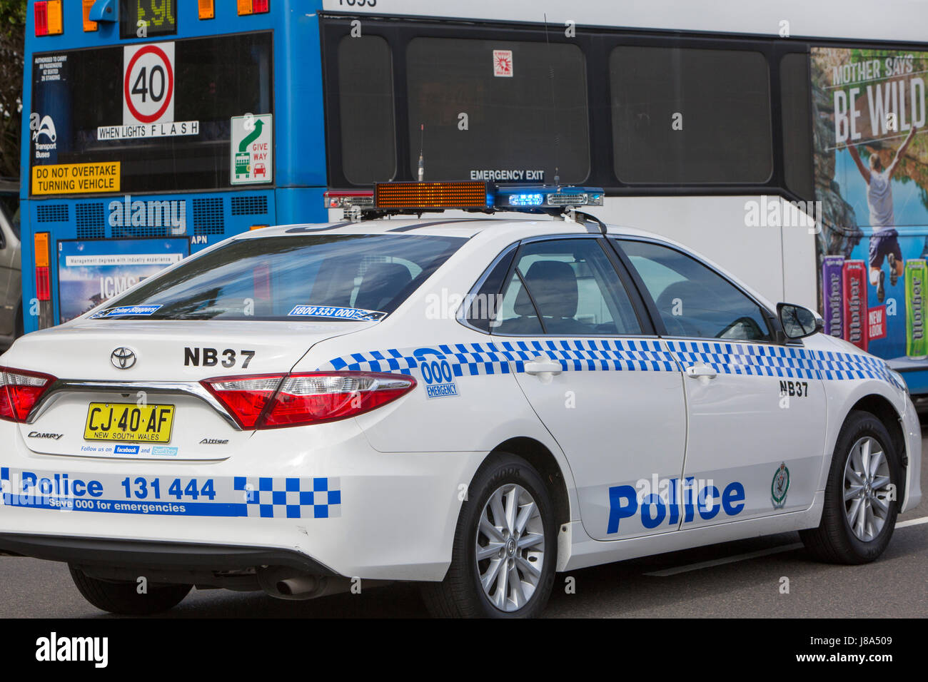 New South wales Polizeiauto und -Bus Sydney, Stadtzentrum Sydney, NSW, Australien Stockfoto