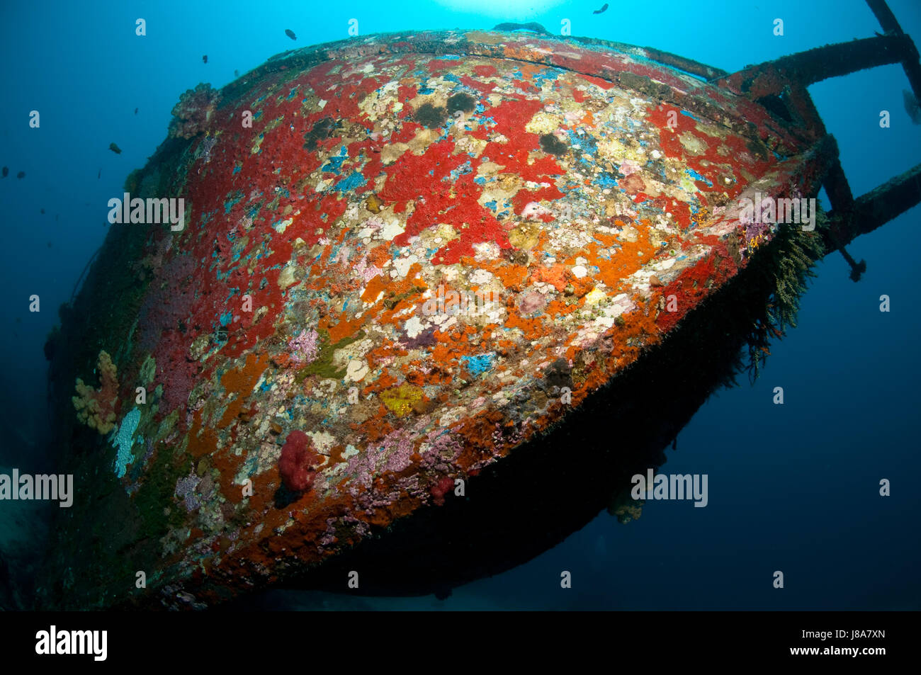 Tauchen, Wrack, begraben, Schiffbruch, Rumpf, Asien, Indonesien, Krieg, unter Wasser, Stockfoto