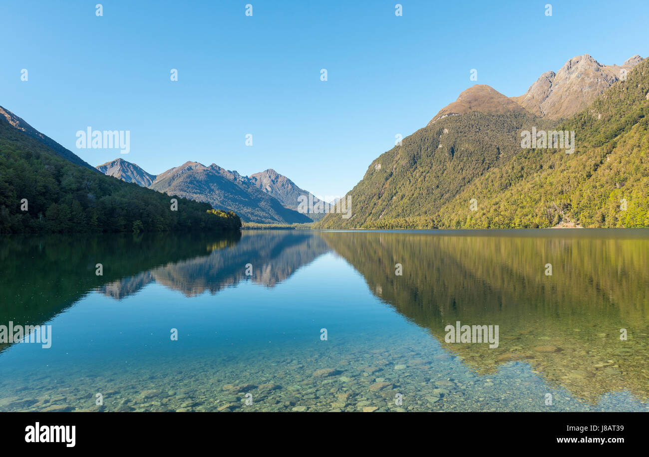 Lake Gunn, Spiegelbild im See, Fjordland National Park, Southland, Südinsel, Neuseeland Stockfoto