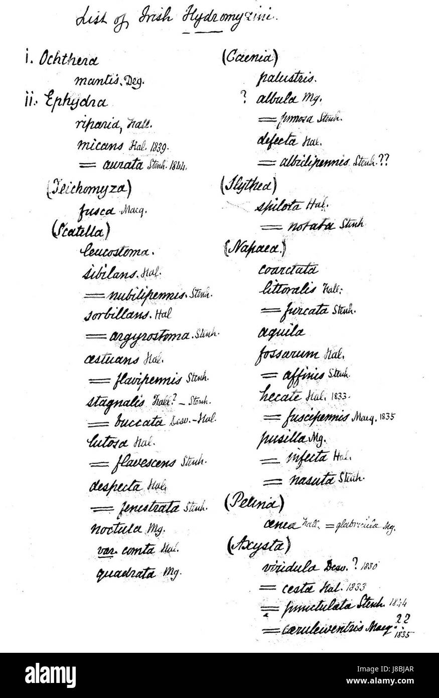 Die Haliday List of Irish Hydromyzidae bezieht sich auf einen taxonomischen Katalog der Hydromyzidae-Familie in Irland, der sich auf deren Identifizierung, Klassifizierung und Verteilung konzentriert. Stockfoto
