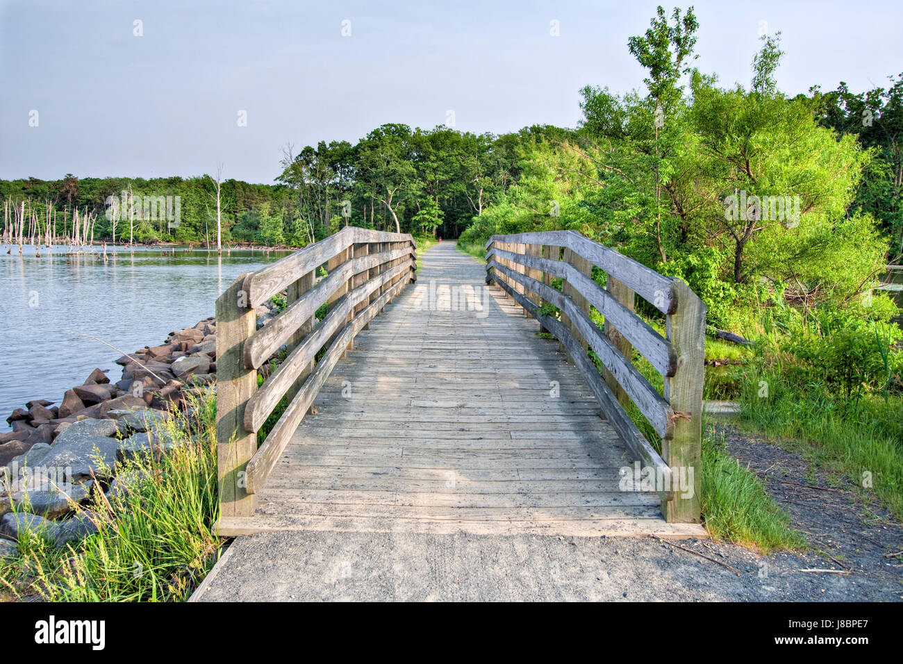 Holz, Brücke, Brücken, Reservoir, aus Holz, Gehweg, Promenade, Wasser, Baum, Stockfoto