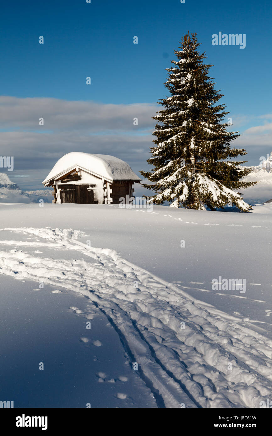 Kleine Hütte und Tanne auf der Bergspitze in Französische Alpen Stockfoto