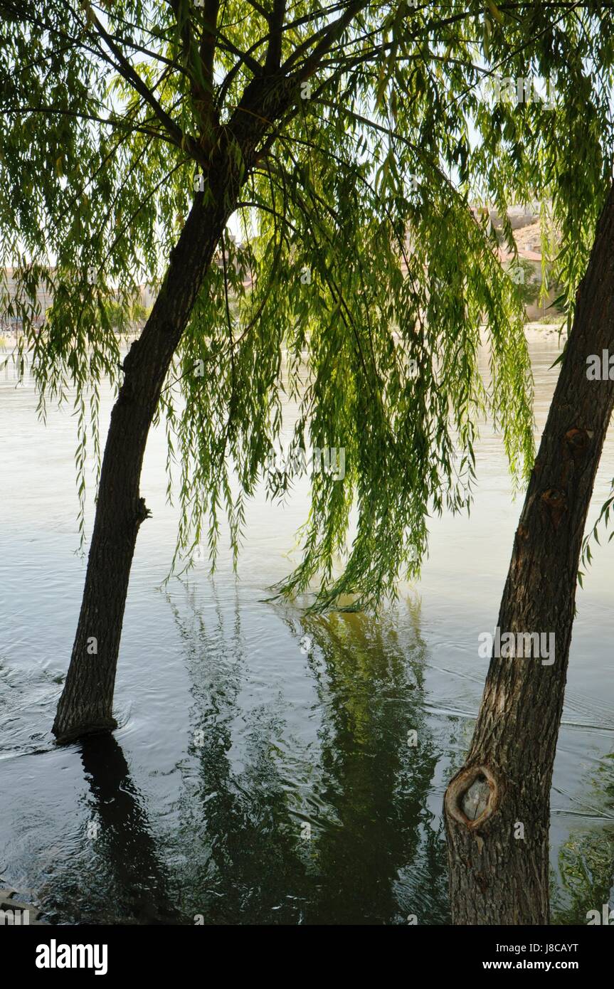 Spaziergang, Strömung des Flusses, Bank, Kappadokien, Fluss, Wasser, Ufer, Baum, Bäume, Stockfoto