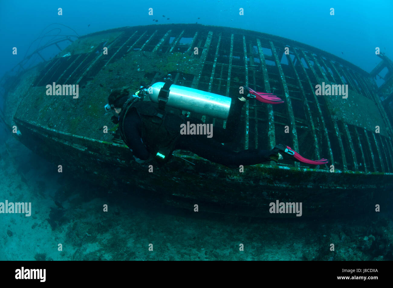 Tauchen, Wrack, Schiffbruch, Taucher, Ruderboot, Segelboot, Segelboot, Boot, Stockfoto