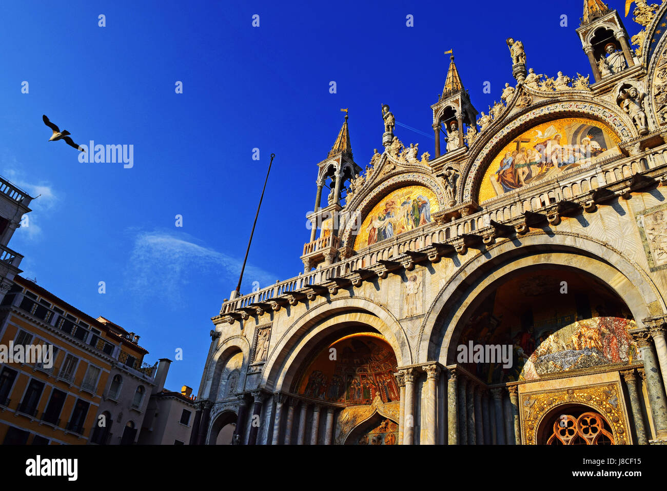 Blick auf Saint Mark's Basilika an einem sonnigen Tag. Strahlend blauer Himmel, goldene Fassade. Möwe das Fliegen durch. Stockfoto