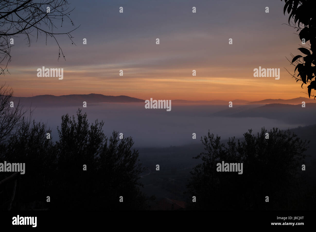 Nebel füllt ein Tal bei Sonnenuntergang, mit einigen Pflanzen und Bäume im Vordergrund als Vorhänge Stockfoto