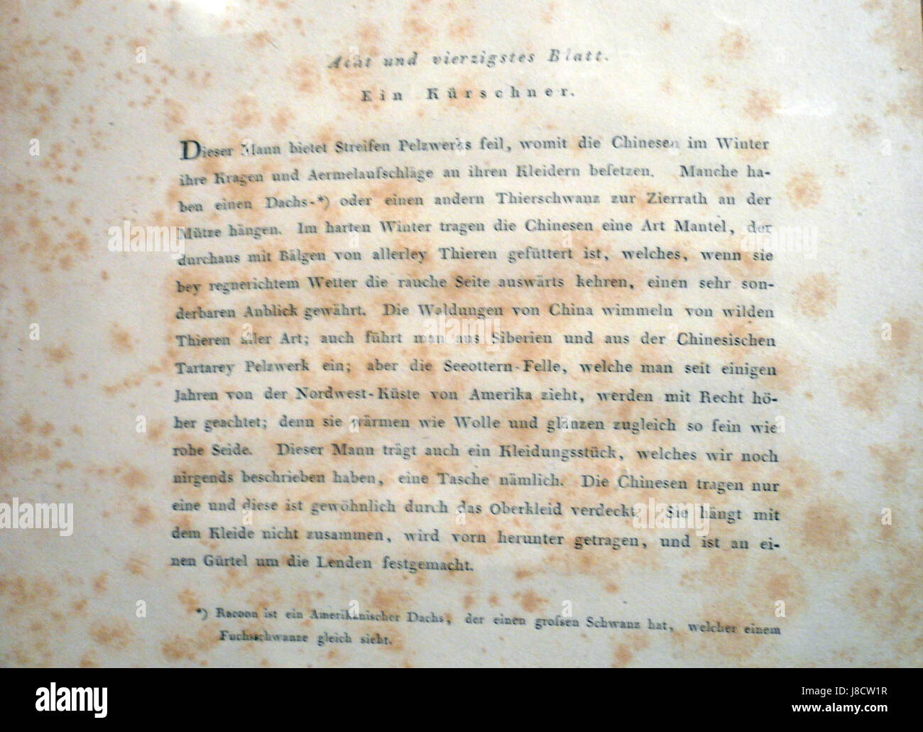 The Costume of China von G. H. Mason, erstmals 1800 in London veröffentlicht, ist ein bedeutendes Werk, das die traditionelle Kleidung und Kleidung Chinas im 18. Und frühen 19. Jahrhundert beschreibt. Stockfoto