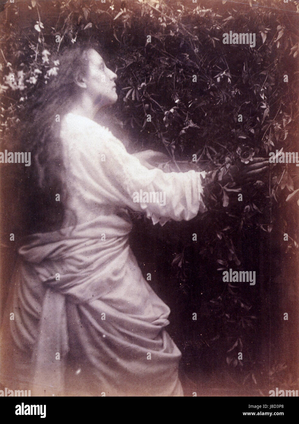 Mary Ann Hillier, von Julia Margaret Cameron Stockfoto