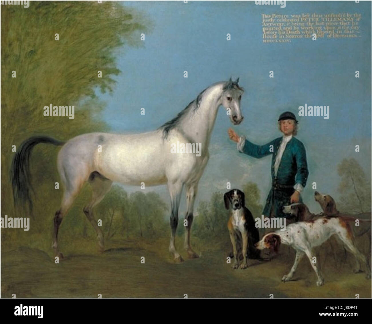 Pferd mit Bräutigam und Jagdhunde Stockfoto