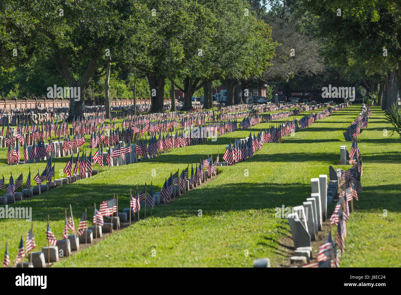 Auf den Grabsteinen der Veteranen wurden Chalmette Nationalfriedhof mehr als 14.129 uns Flaggen platziert.  Rund 300 Gruppe und einzelnen Freiwilligen unterstützt bei der Platzierung von amerikanischer Flags auf Kopf Steinen Stockfoto