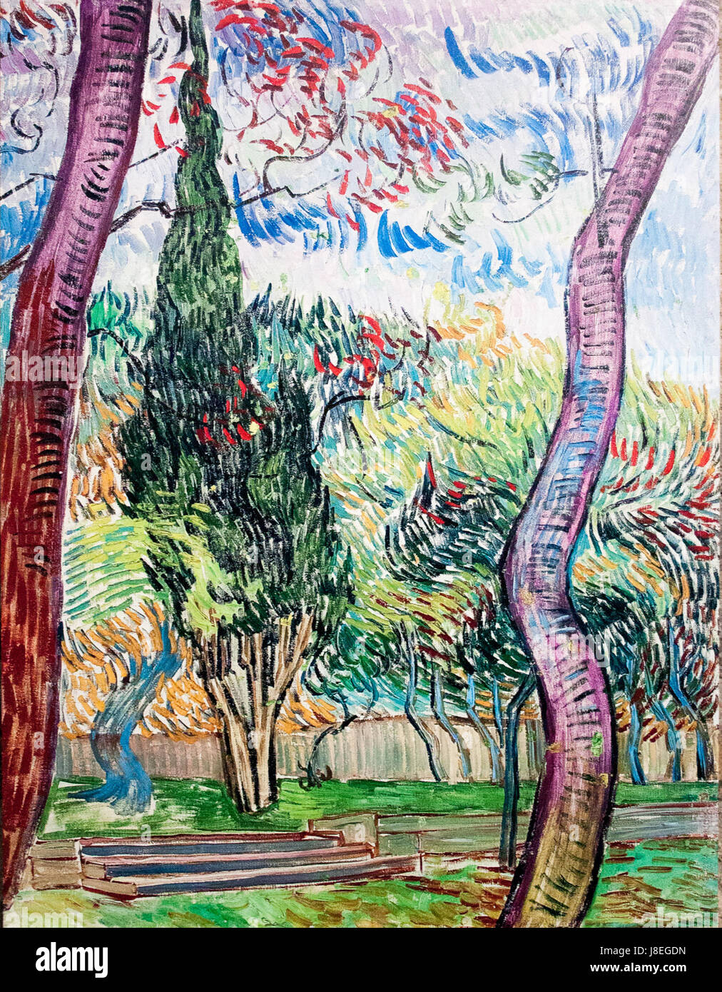 Garten von Saint-Paul-Krankenhaus mein Traum Stockfoto