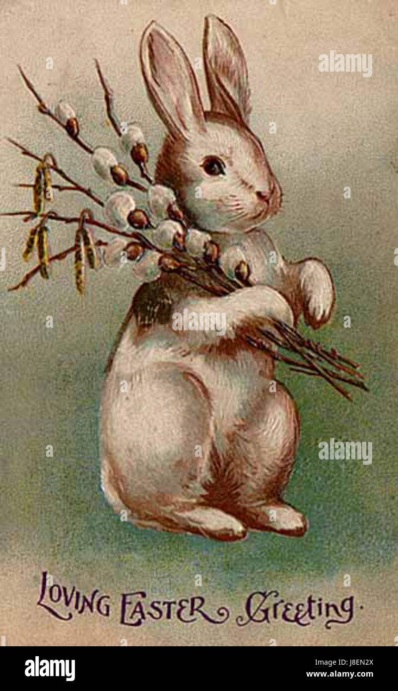 Easter Bunny Postkarte 1907 Stockfoto