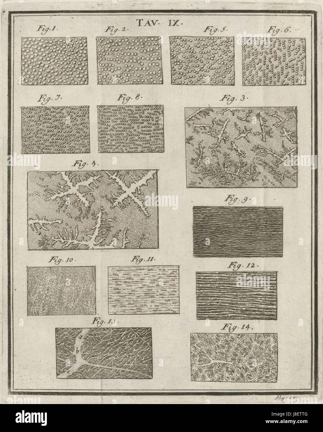 Houghton Typ 725 76.843 Torre, Tav IX Stockfoto