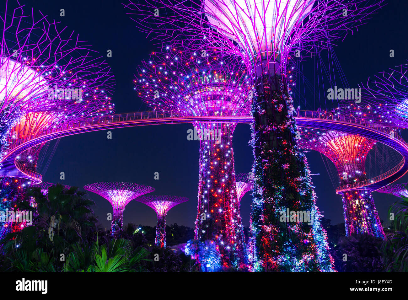 Singapur - 17. Februar 2016: Garden Rhapsody Lichtshow am