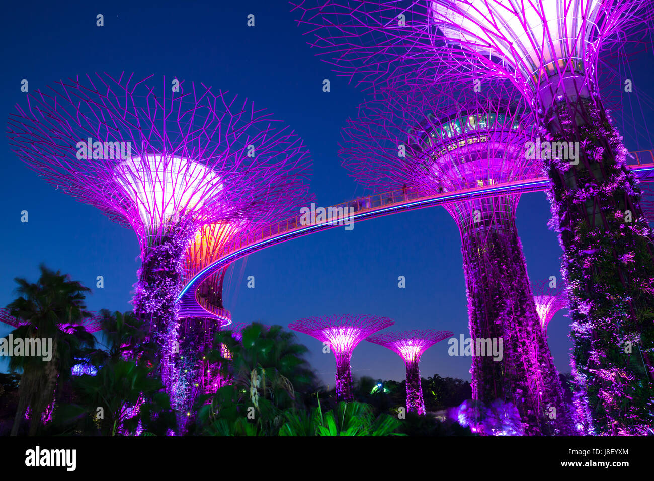 Singapur - 17. Februar 2016: Garden Rhapsody Lichtshow am Super Baum Grove Gardens By The Bay, Singapur am 17. Februar 2016 Stockfotografie