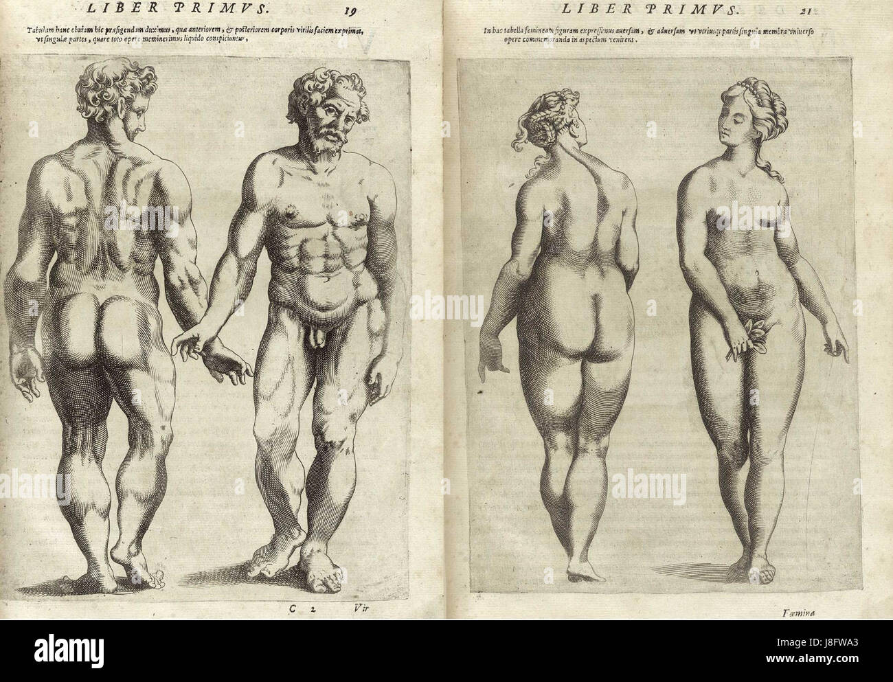 Giambattista della Porta De Humana Physiognomonia 1586 Stockfoto