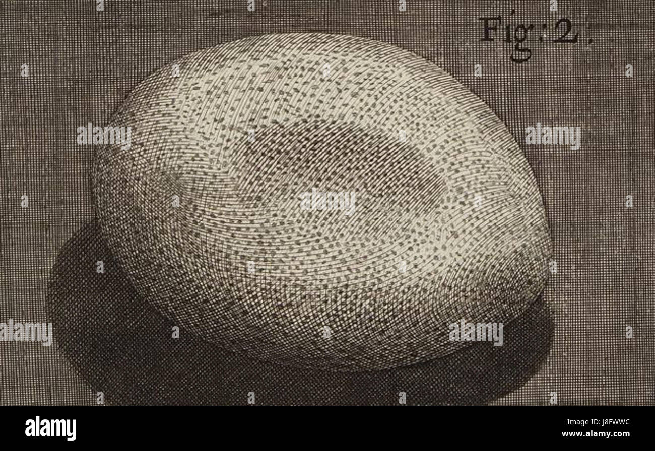 Herumgestreift Schem 25 Abb. 2 Stockfoto