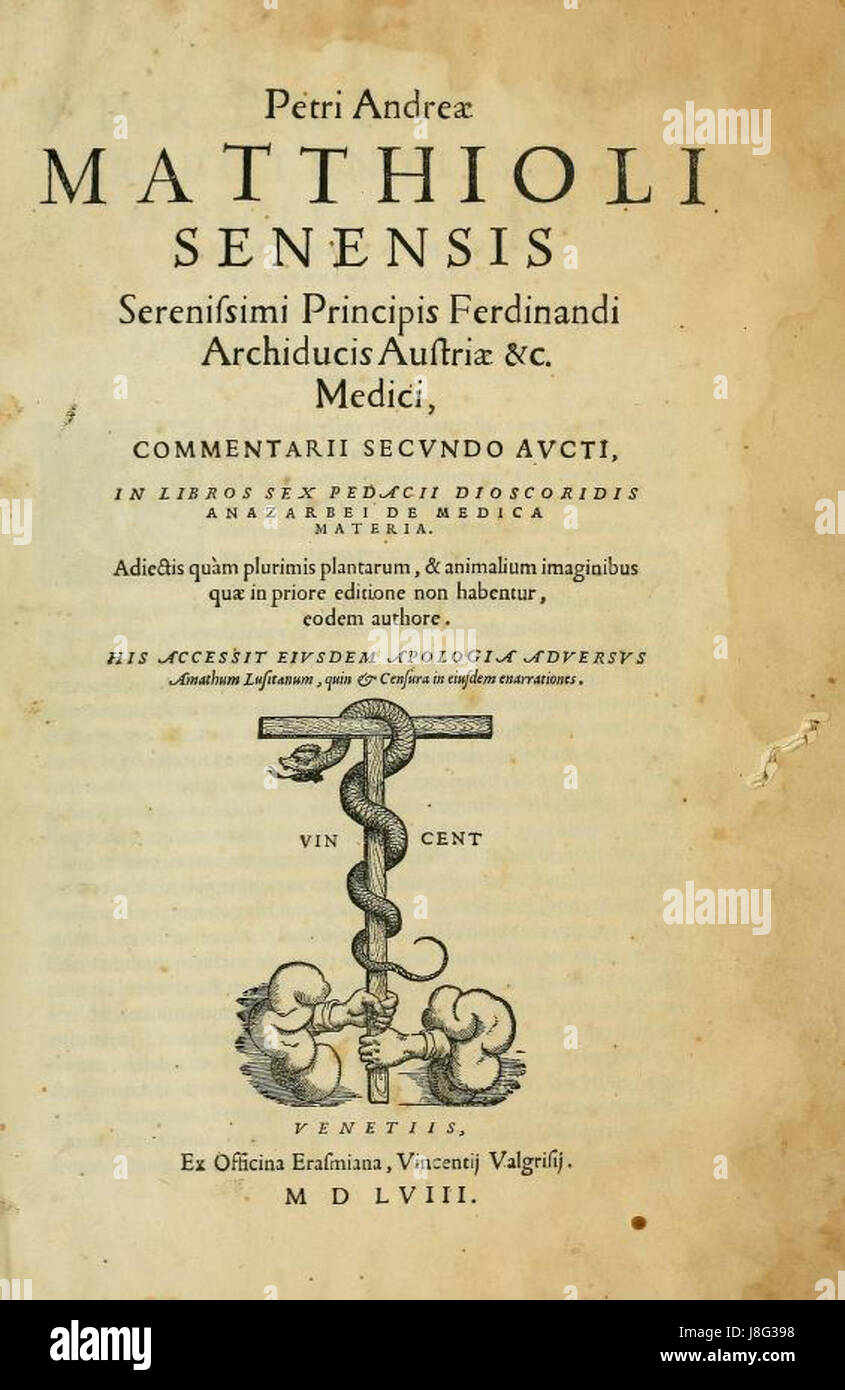 Matthiolis lateinische Übersetzung von Dioscorides' 'de Materia Medica' aus dem Jahr 1558 ist ein wichtiges Werk in der Geschichte der Pharmakologie und bietet dem altgriechischen Arzt Kenntnisse über Heilpflanzen. Stockfoto