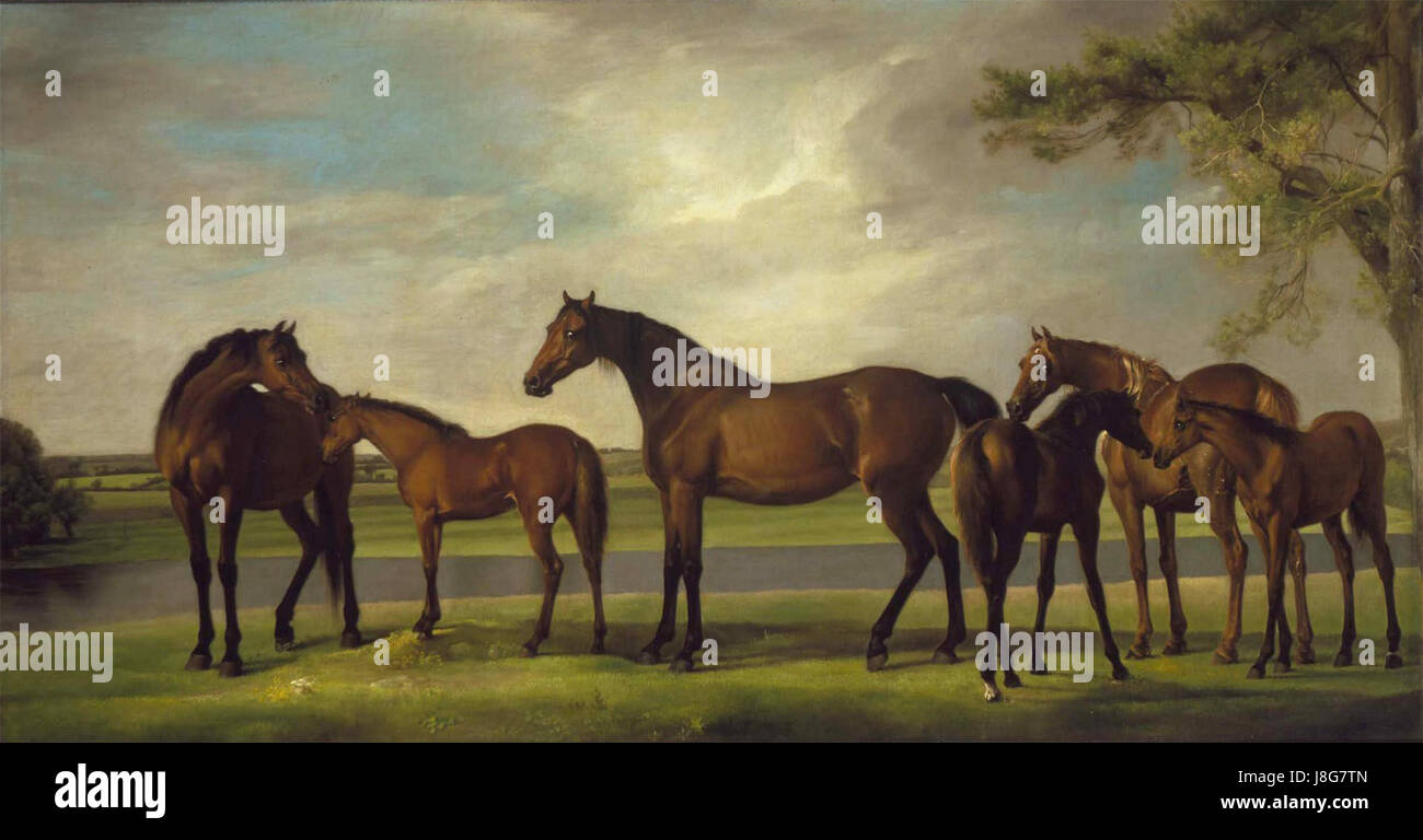 George Stubbs war ein bekannter englischer Künstler, der für seine Darstellungen von Pferden und Tieren berühmt war. Seine Arbeit revolutionierte die Tierporträts mit detaillierten, anatomisch genauen Darstellungen. Stockfoto