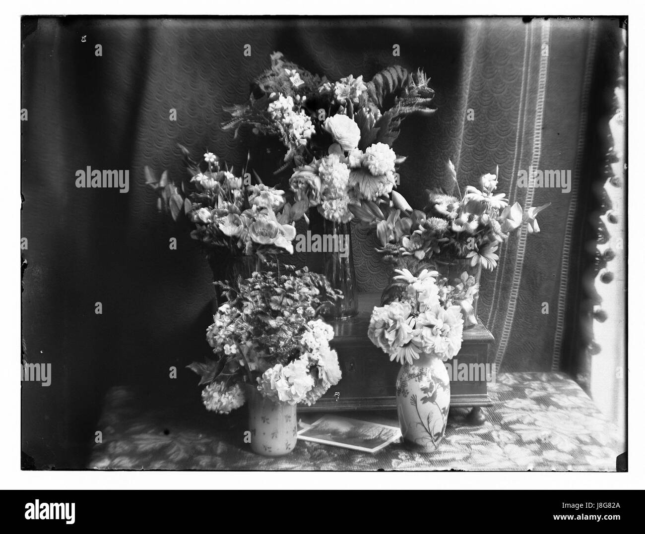 „Dieren en Planten“ von Jacob Olie, Foto 5, erfasst eine detaillierte Ansicht von Tieren und Pflanzen. Das hochauflösende Bild ist ein gutes Beispiel für die Fokussierung von Olieâ auf natürliche Motive, bei der botanische und zoologische Elemente in einem einzigen Bild verschmelzen. Stockfoto