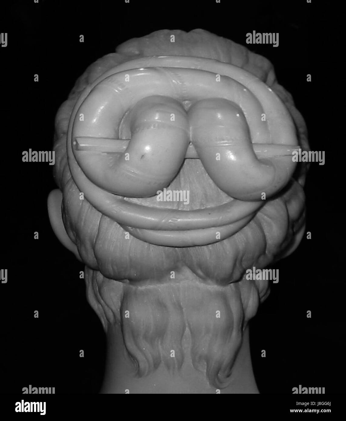 Frascatigirl1sw Stockfoto