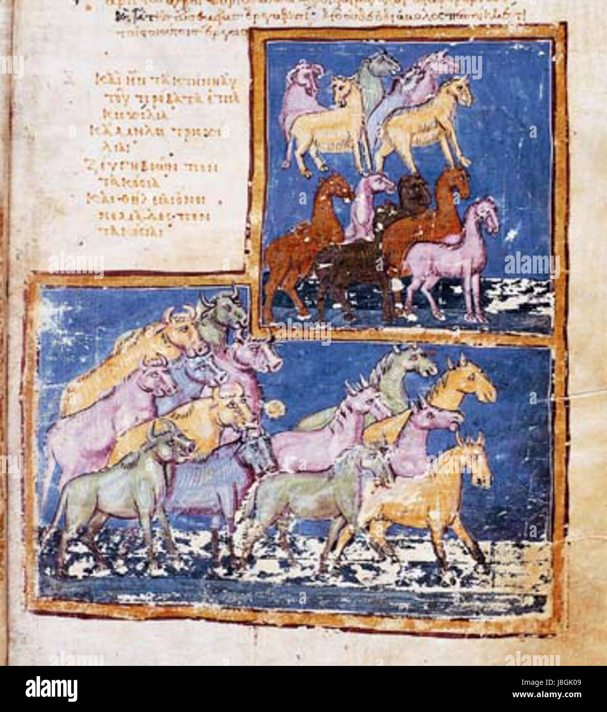 MARC538fol6 Stockfoto