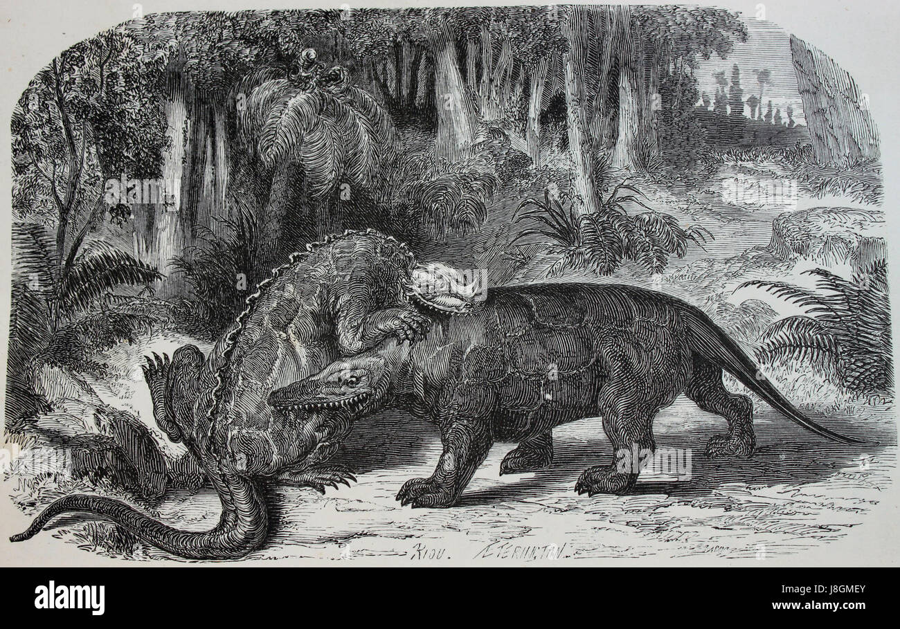 Iguanodon und Megalosaurus Stockfoto
