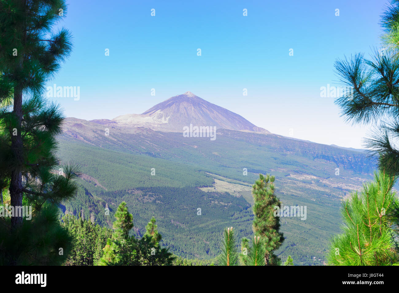 Vulkan Teide mit Kiefer Wald Corona forestal, Nationalpark der Insel Teneriffa, Kanaren Spanien Stockfoto