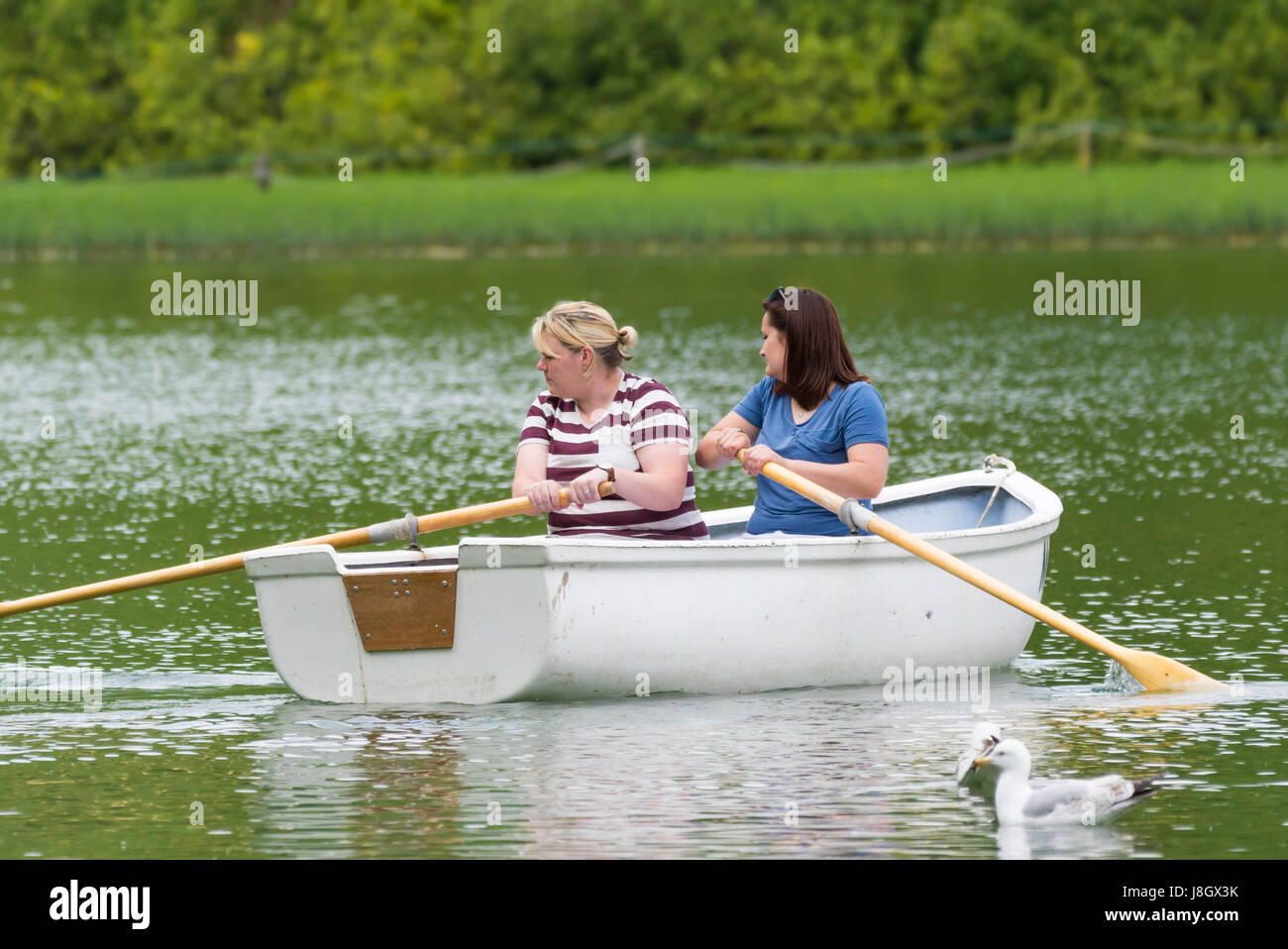 Freundinnen in einem kleinen hölzernen Ruderboot auf einen See im Frühjahr. Stockfoto