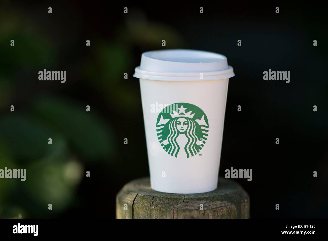 Eine Take-away Starbucks Kaffee Tasse gesehen auf einer Ebene aus Fokus Hintergrund grün. Stockfoto