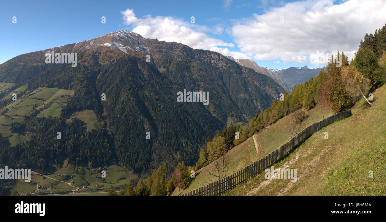 Berge, Wandern, gehen, Wandern, Wanderung, Südtirol, Herbstfärbung, Schafe (pl.), Stockfoto