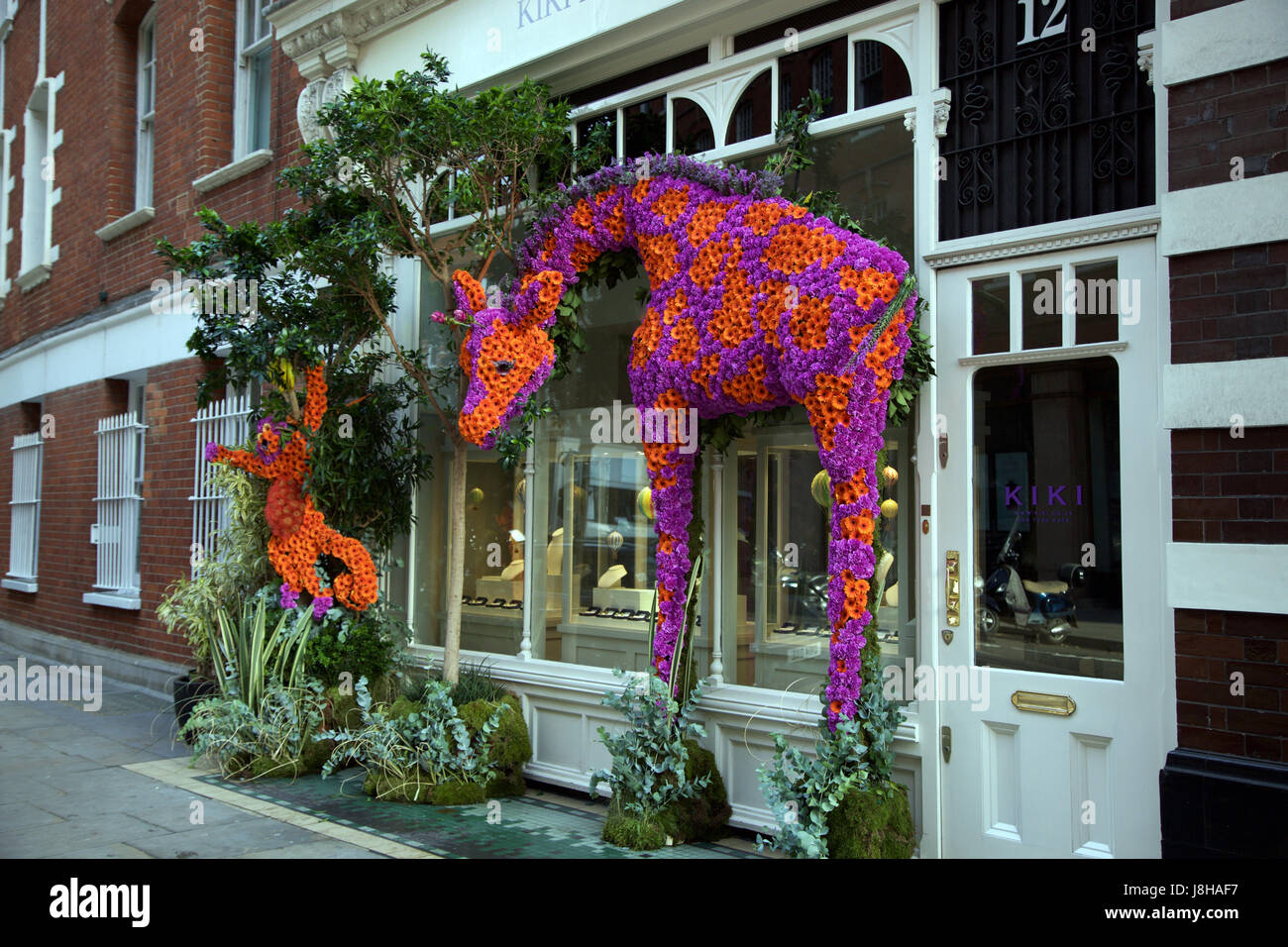 Blütenpracht an Kiki, Symons Street, Chelsea SW3 während Chelsea Flower Showymons Streett Stockfoto