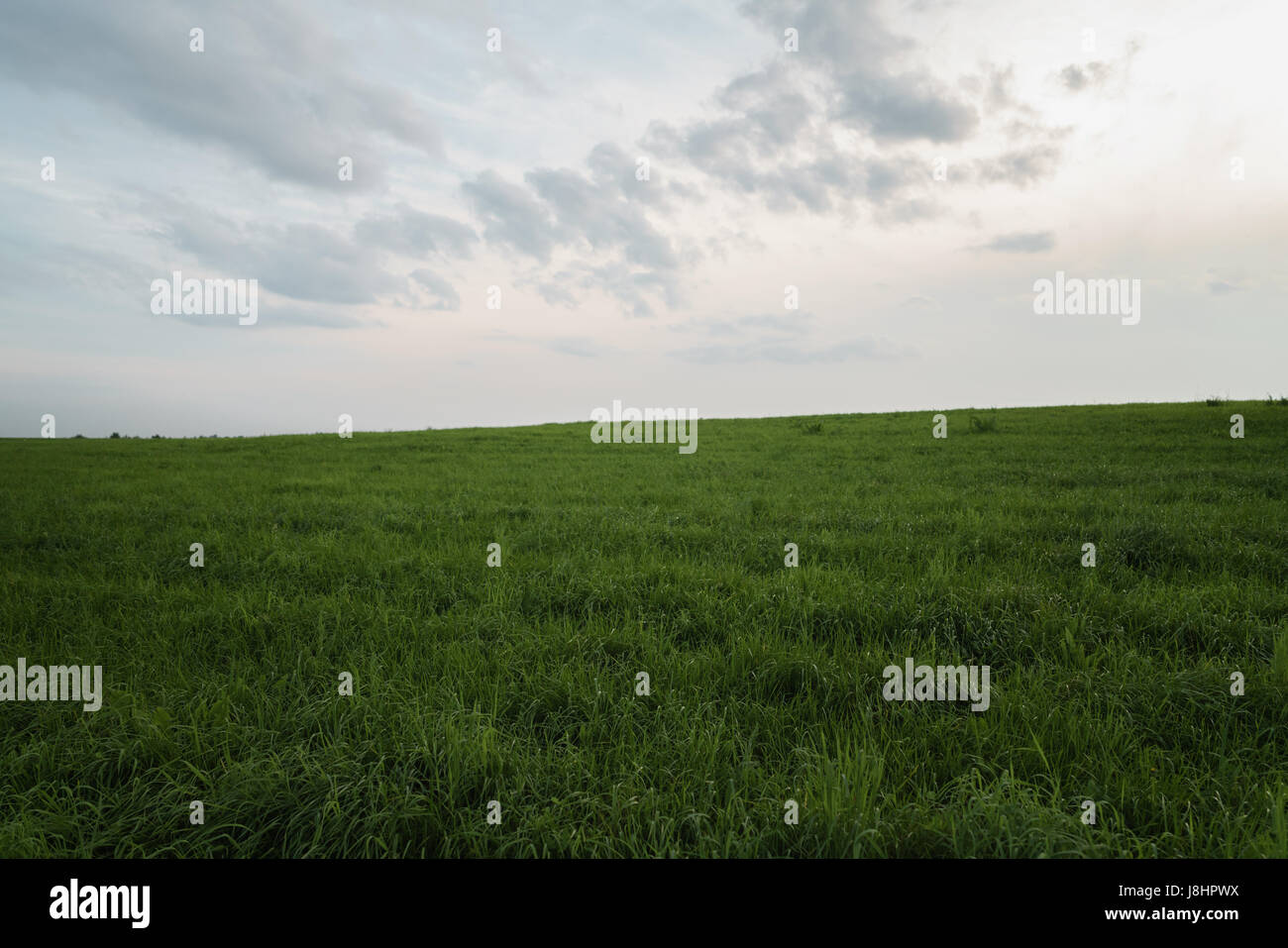 grüne ländliche Gebiet mit Wolken am Himmel Stockfoto