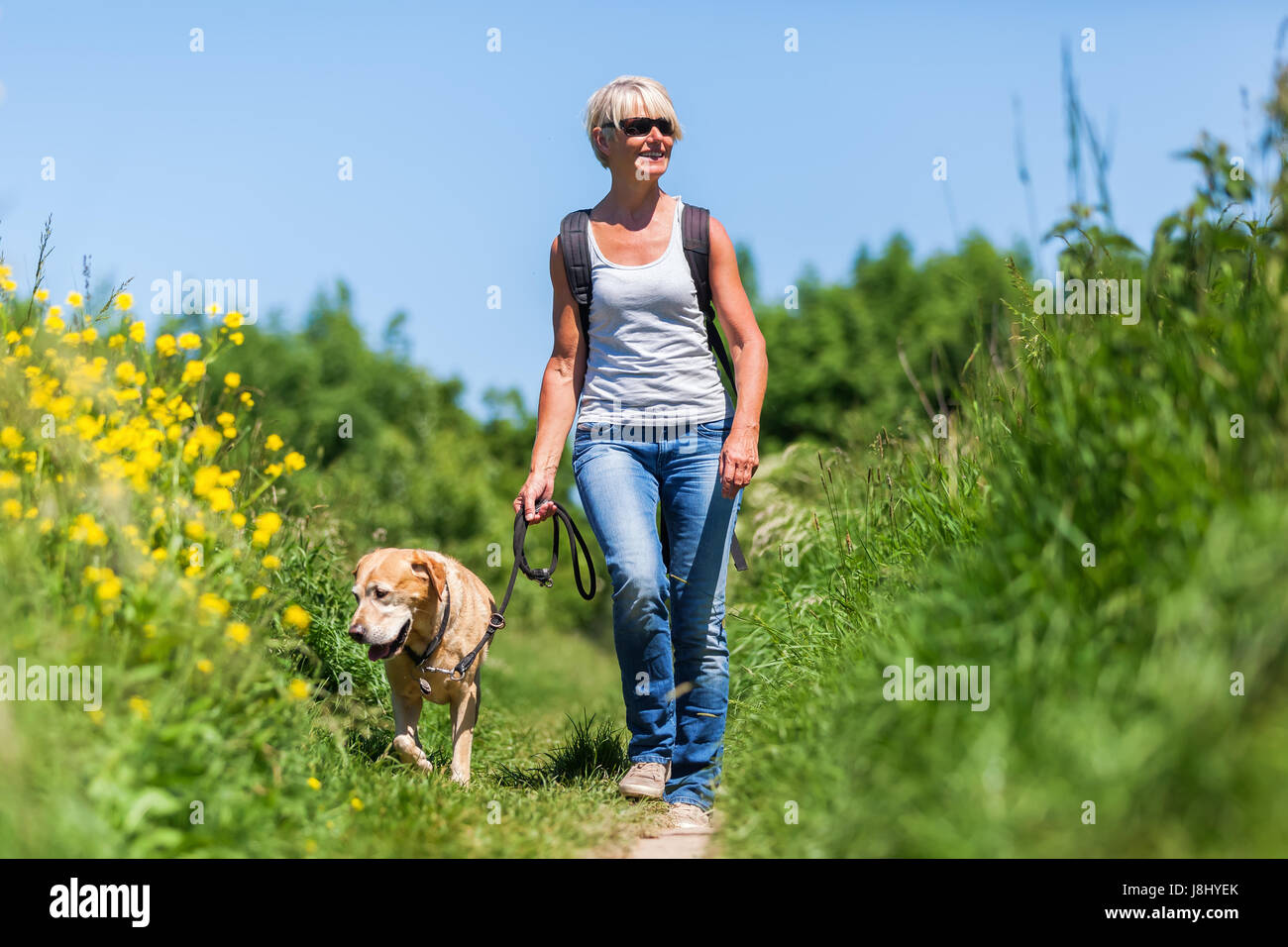 Reife Frau mit Rucksack Wandern mit dem Hund in einer Sommerlandschaft Stockfoto