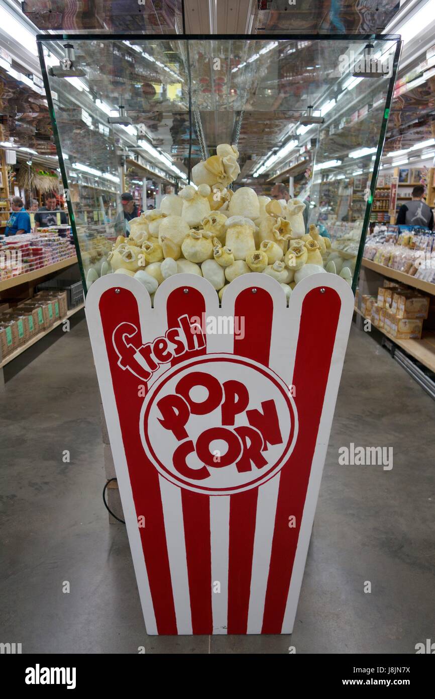 Eine große Popcorn Skulptur in Minnesota Largest Süßwarenladen in Jordan, MN, USA. Stockfoto