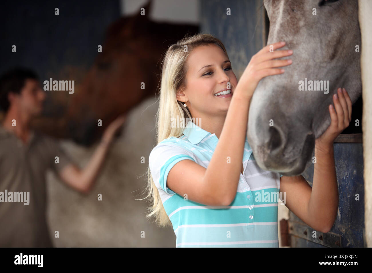 Nahaufnahme, Pferd, Stute, Positive, Foto, Bild, Abbild, Kopie, Abzug, Stockfoto