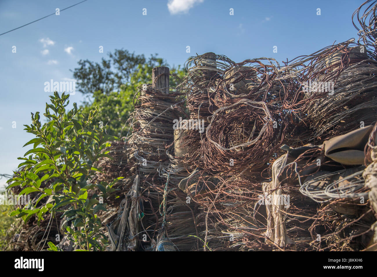 Gesammelten fallen des Wilderers am Maingate Hlane Royal National Park, Swasiland Stockfoto