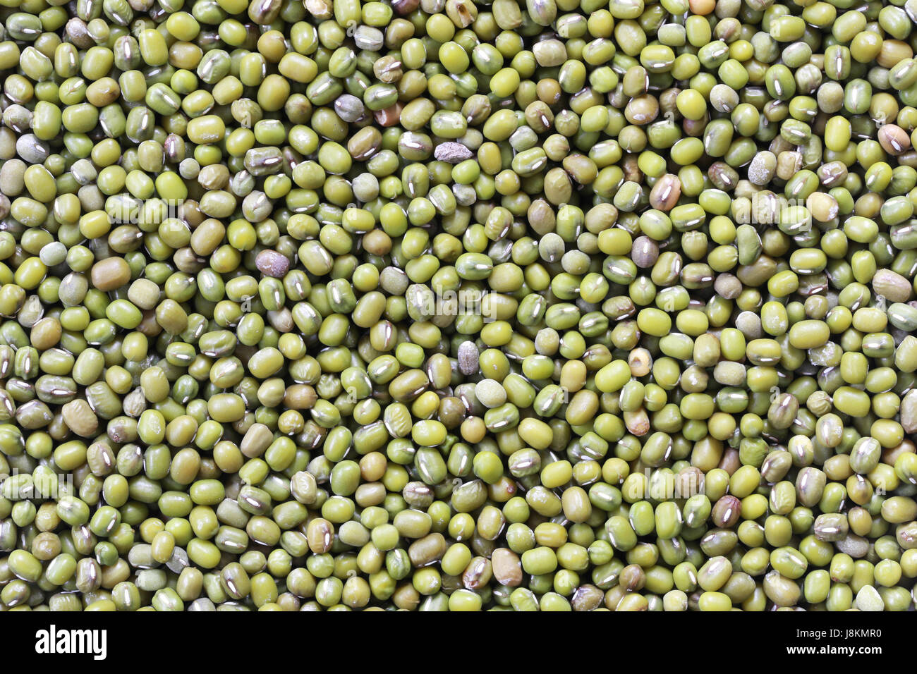 Stapeln Sie grüne Bohnen Hintergrund für Design Lebensmittel Naturkulisse. Stockfoto