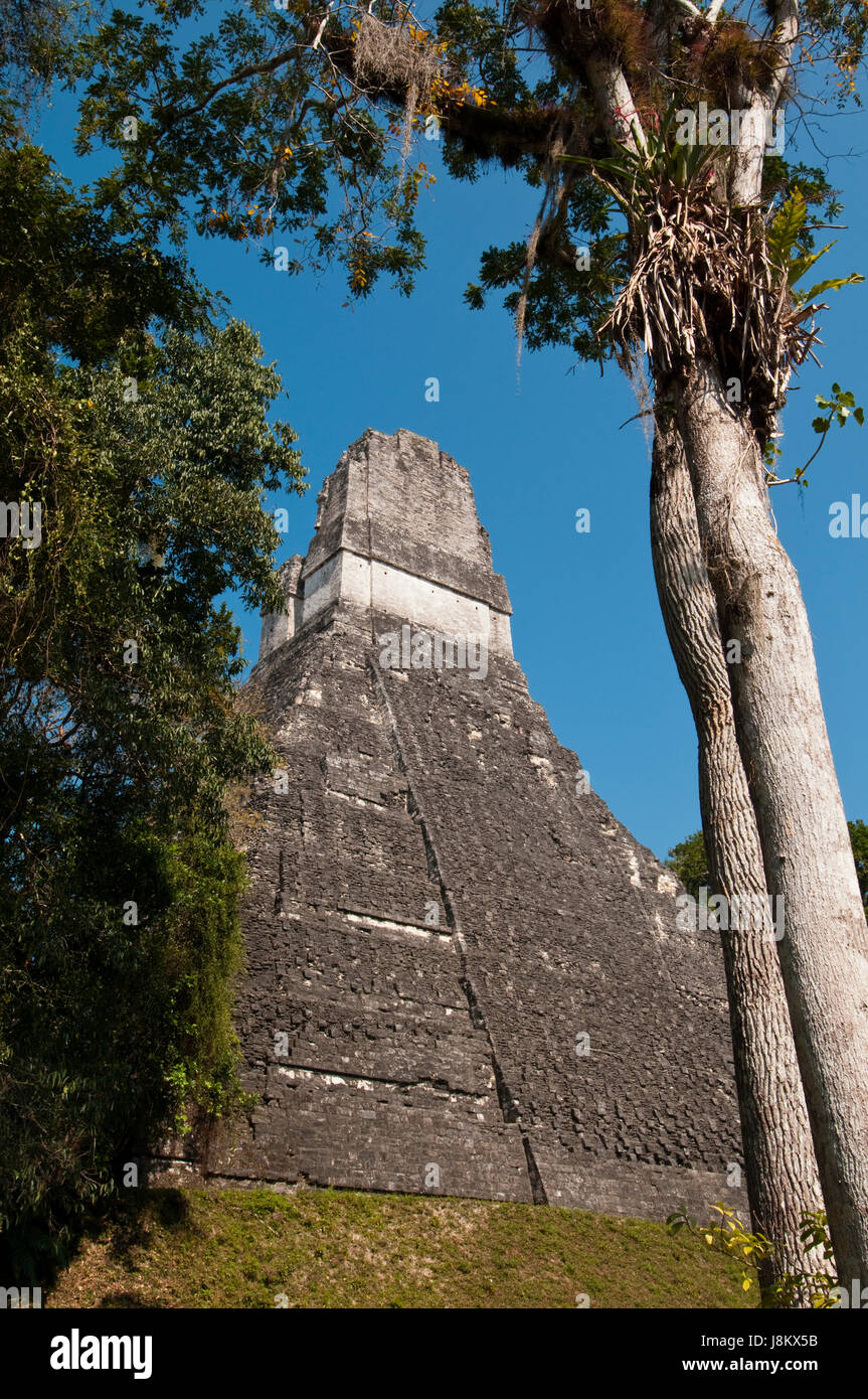 Tempel ich auch bekannt als Tempel des riesigen Jaguar, Maya-Ausgrabungsstätte von Tikal, Guatemala. Stockfoto