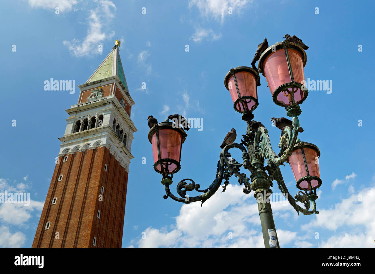 Campanile in Venedig Stockfoto