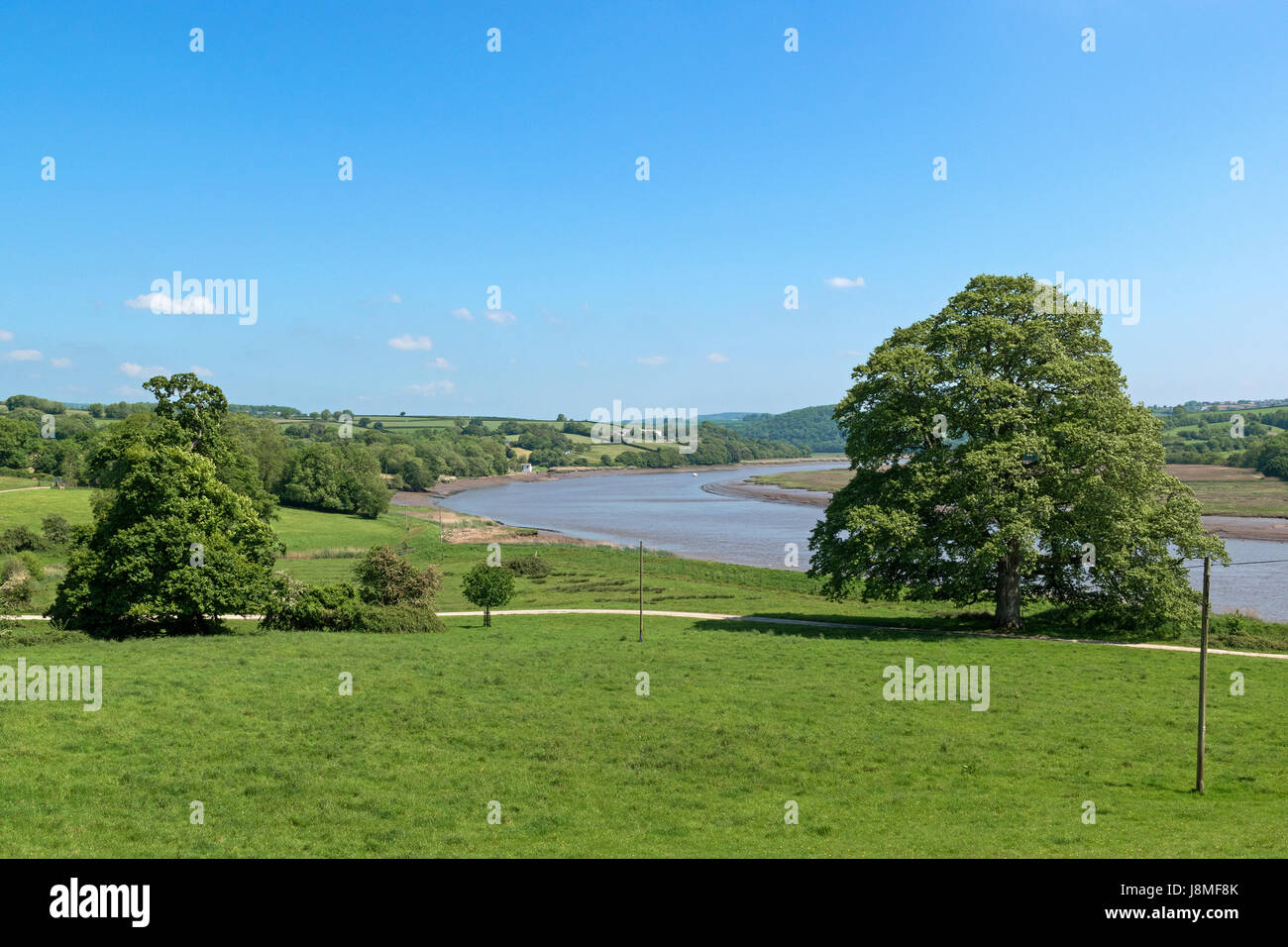 die Landschaft und den Fluss Tamar in der Nähe von st.mellion in Cornwall, England, Großbritannien, uk. Stockfoto